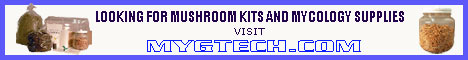 mushroom kits