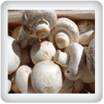 White Button Mushrooms